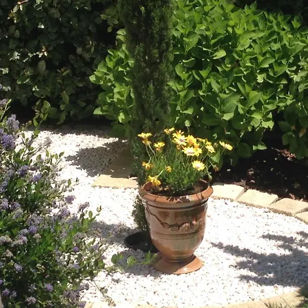 Guest house La Glycine Blanche 4*