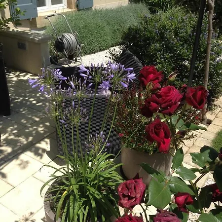 Guest house La Glycine Blanche 4*