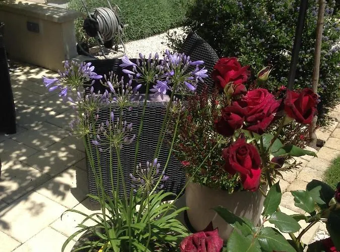 Πανσιόν La Glycine Blanche 4*